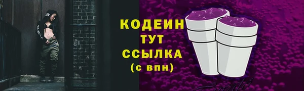 прущий лед Липки