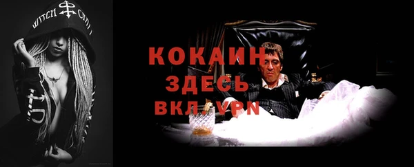 прущие грибы Кукмор