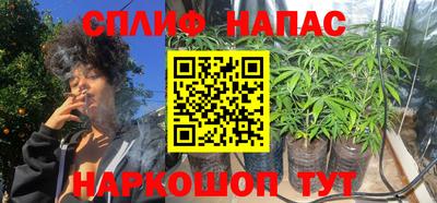 гидропоника Гагарин