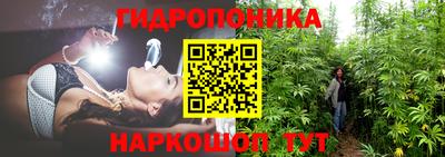альфа пвп Гатчина