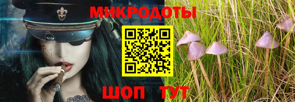Галлюциногенные грибы Psilocybine cubensis Михайловка