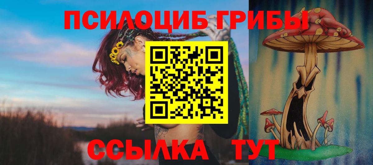 Псилоцибиновые грибы ЛСД  Псилоцибиновые грибы прущие грибы  Вход с VPN  Михайловка 